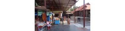 மண்டைக்காடு பகவதி - தமிழ்நாடு